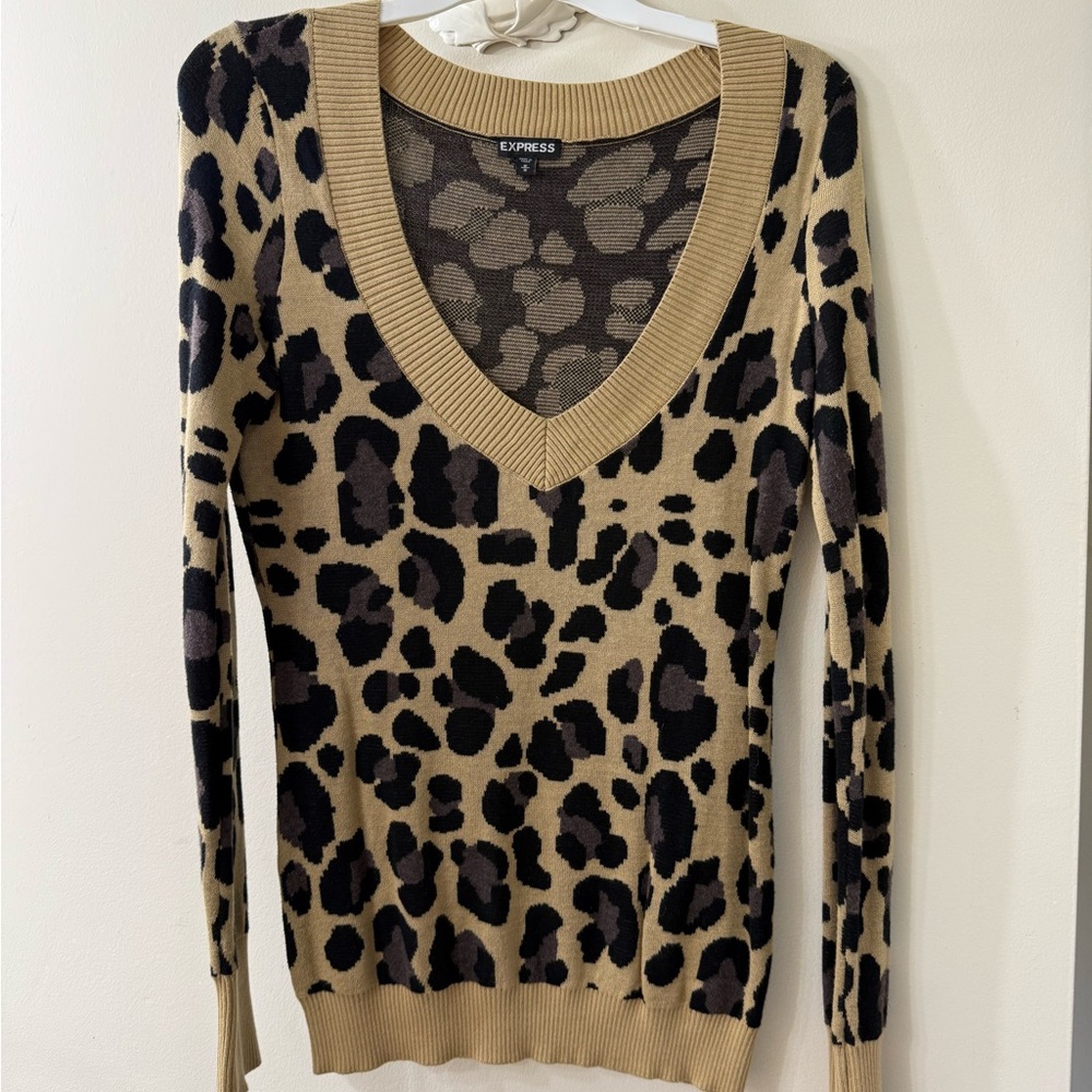 Express Leopard Print V-Neck Sweater